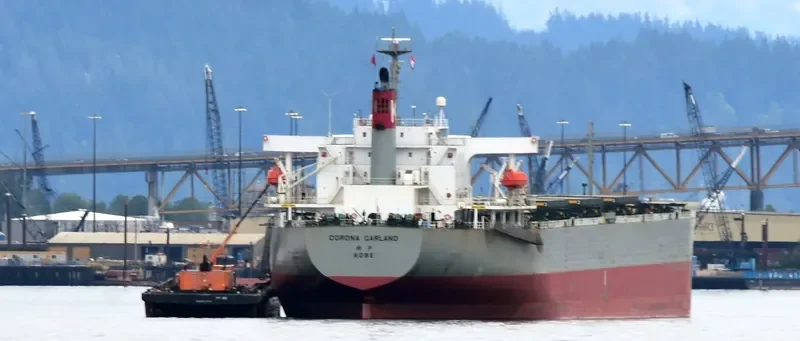 HOANH SON SUN Bulk Carrier IMO 9217670 photo 5