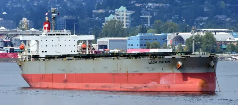 HOANH SON SUN Bulk Carrier IMO 9217670 photo 6