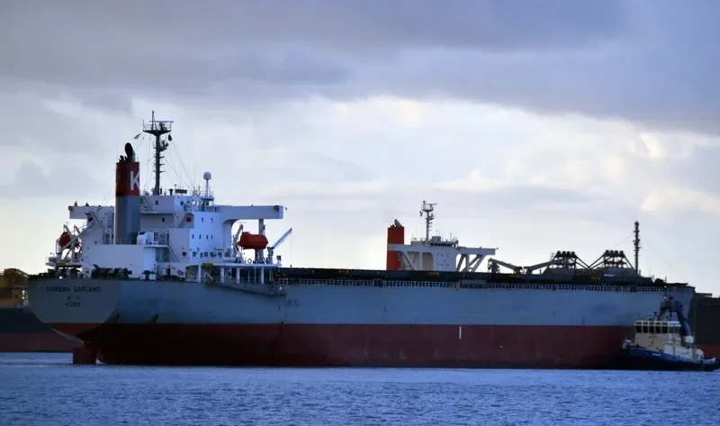 HOANH SON SUN Bulk Carrier IMO 9217670 photo 7