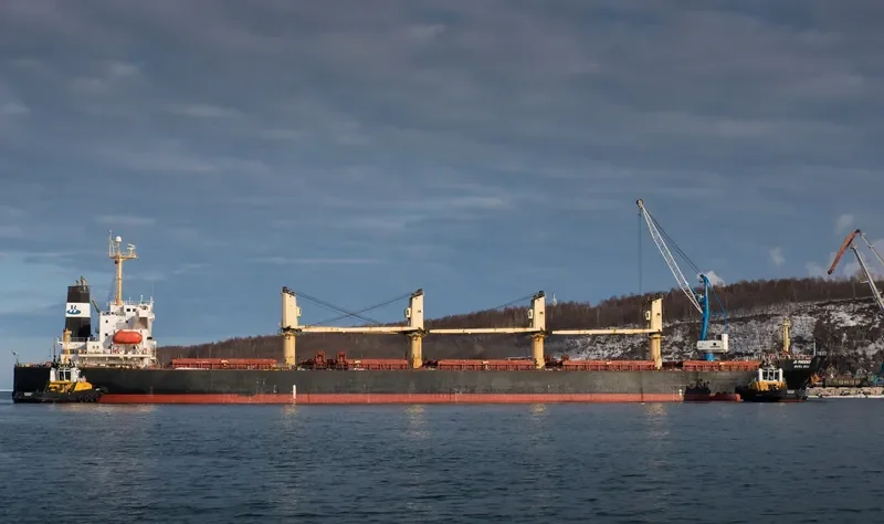 XING QIANG 9 Bulk Carrier IMO 9217735