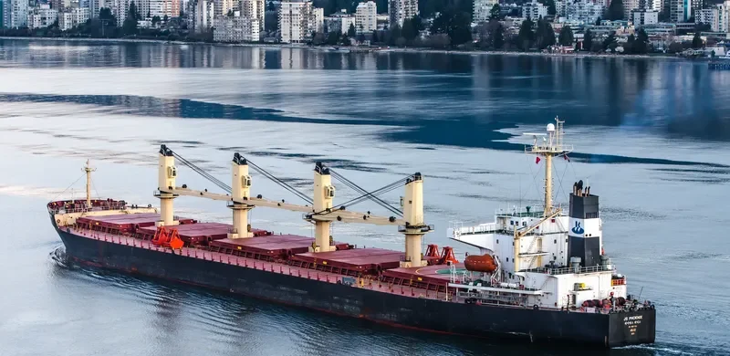 XING QIANG 9 Bulk Carrier IMO 9217735 photo 3