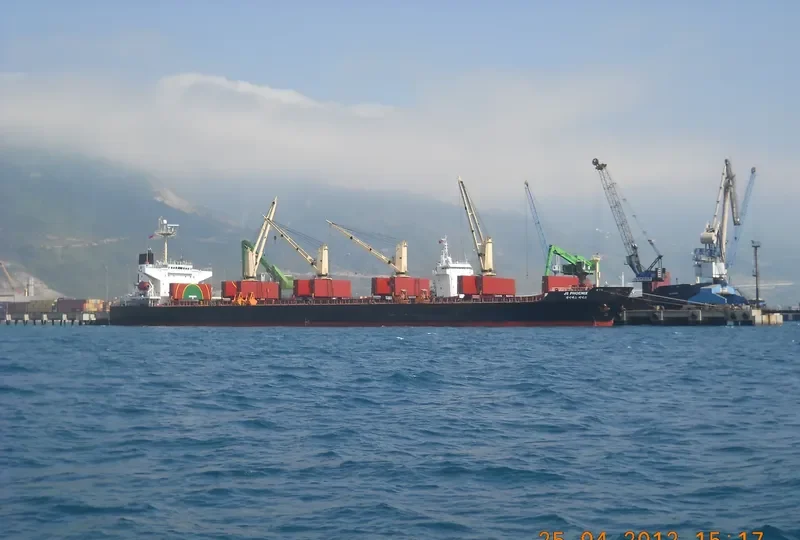 XING QIANG 9 Bulk Carrier IMO 9217735 photo 7