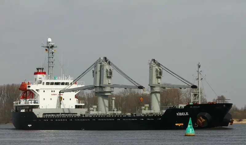LEADER M Bulk Carrier IMO 9217797 photo 2