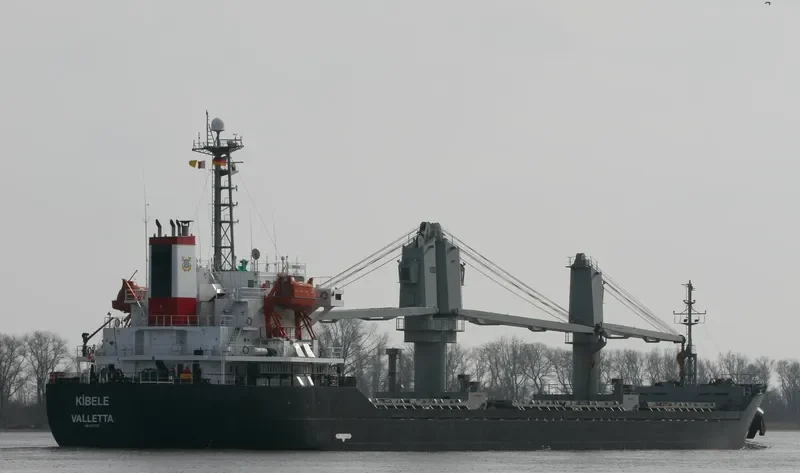 LEADER M Bulk Carrier IMO 9217797 photo 3