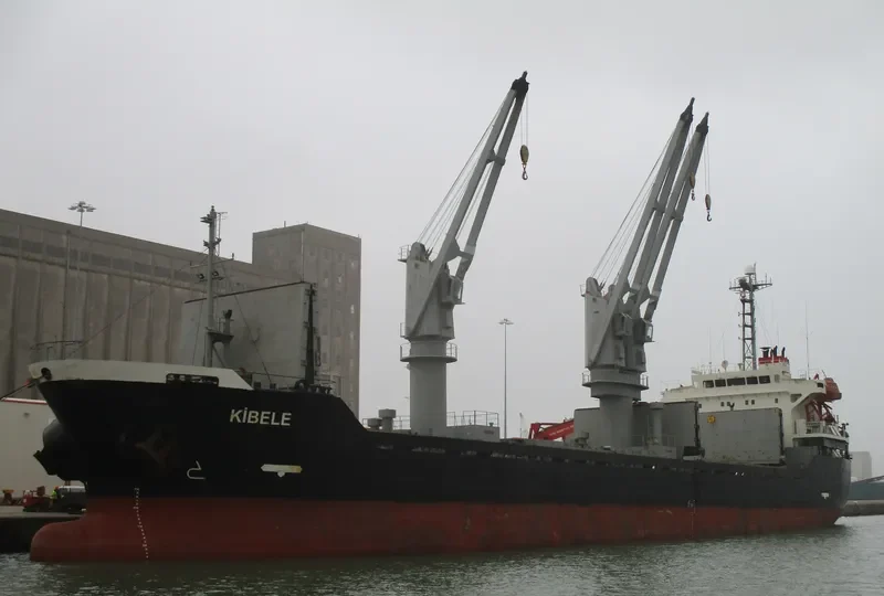 LEADER M Bulk Carrier IMO 9217797 photo 5