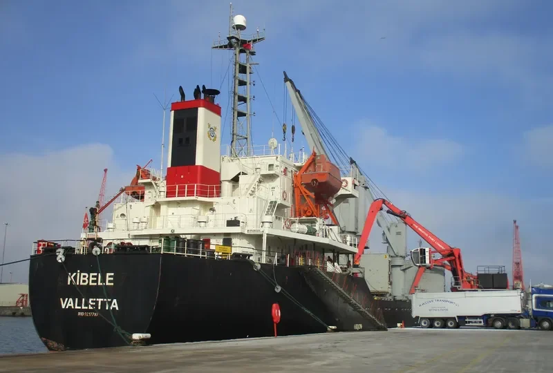 LEADER M Bulk Carrier IMO 9217797 photo 7