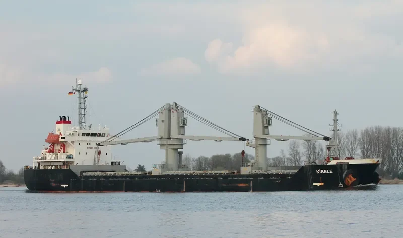 LEADER M Bulk Carrier IMO 9217797 photo 9