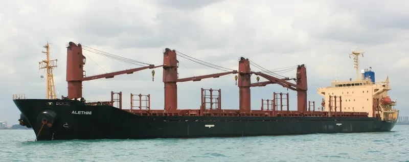 ALETHINI Bulk Carrier IMO 9217826 photo 3