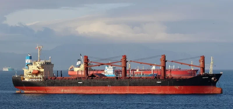 ALETHINI Bulk Carrier IMO 9217826 photo 5