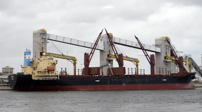 ALETHINI Bulk Carrier IMO 9217826 photo 8