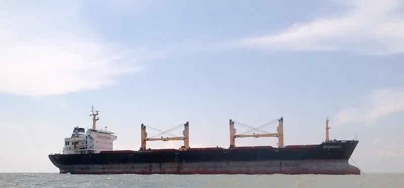 MANALAGI ENZI Bulk Carrier IMO 9217929 photo 2