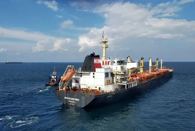 MANALAGI ENZI Bulk Carrier IMO 9217929 photo 5
