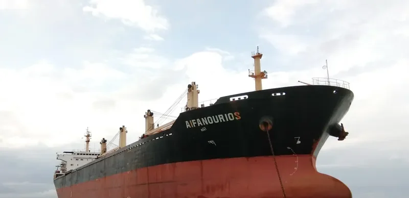 MANALAGI ENZI Bulk Carrier IMO 9217929 photo 8