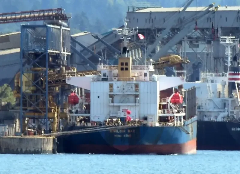 ENGLISH BAY Bulk Carrier IMO 9218038 photo 5