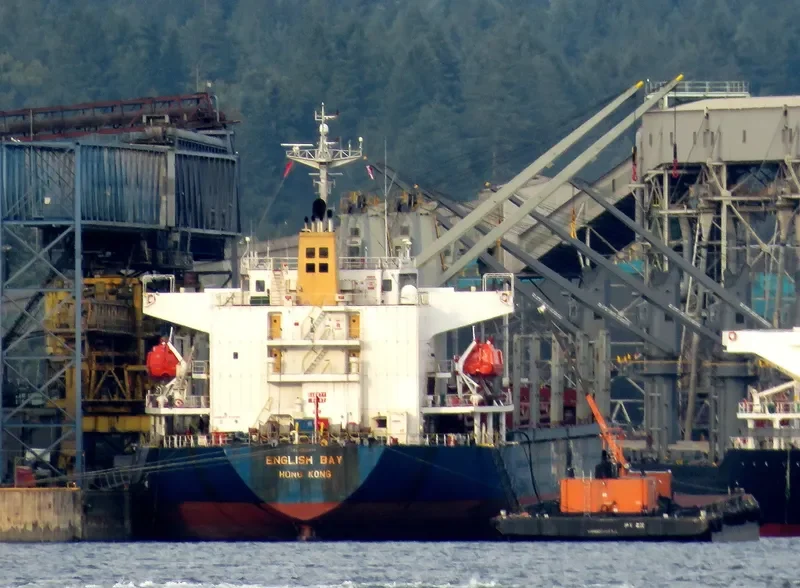 ENGLISH BAY Bulk Carrier IMO 9218038 photo 6