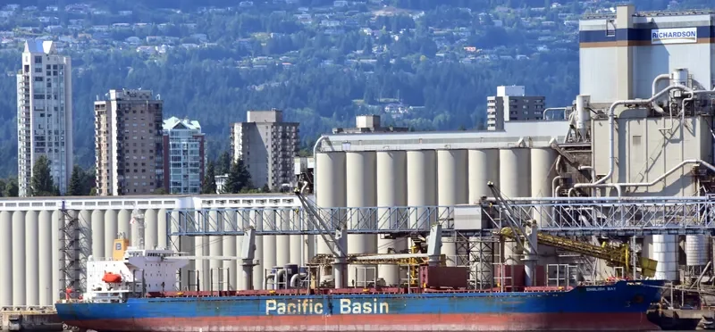 ENGLISH BAY Bulk Carrier IMO 9218038 photo 8