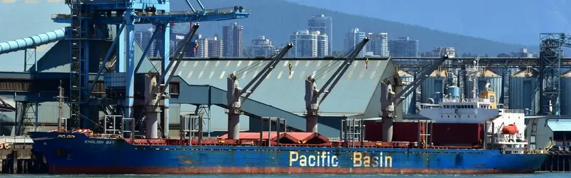 ENGLISH BAY Bulk Carrier IMO 9218038 photo 10