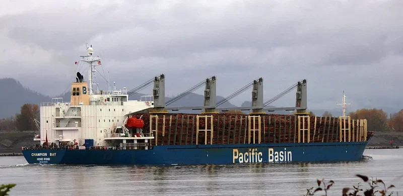 MICROCHIP Bulk Carrier IMO 9218040
