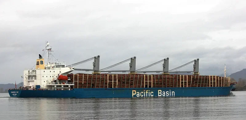 MICROCHIP Bulk Carrier IMO 9218040 photo 2
