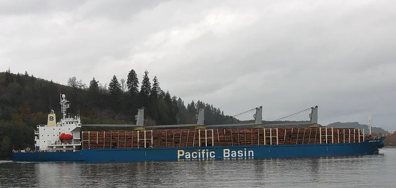 MICROCHIP Bulk Carrier IMO 9218040 photo 3