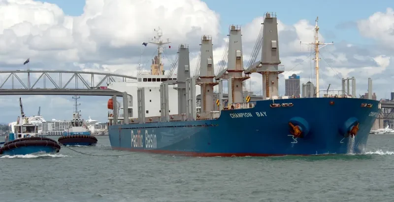 MICROCHIP Bulk Carrier IMO 9218040 photo 5