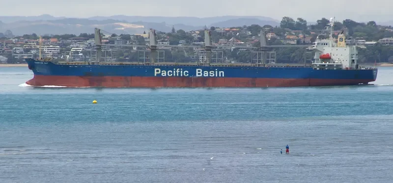 MICROCHIP Bulk Carrier IMO 9218040 photo 7