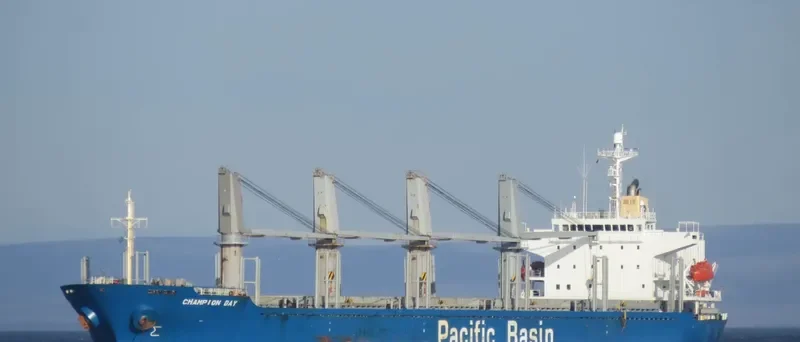 MICROCHIP Bulk Carrier IMO 9218040 photo 8