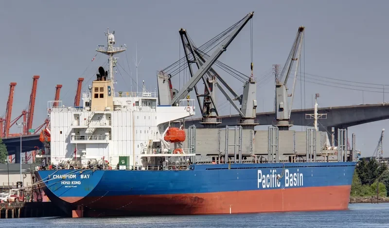 MICROCHIP Bulk Carrier IMO 9218040 photo 9