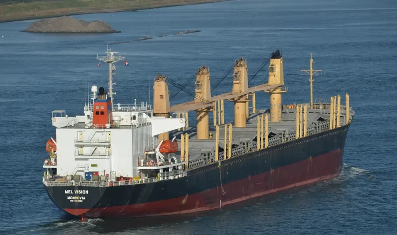 MEL VISION Bulk Carrier IMO 9218052 photo 3