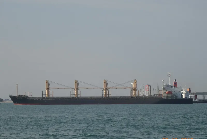 MEL VISION Bulk Carrier IMO 9218052 photo 5