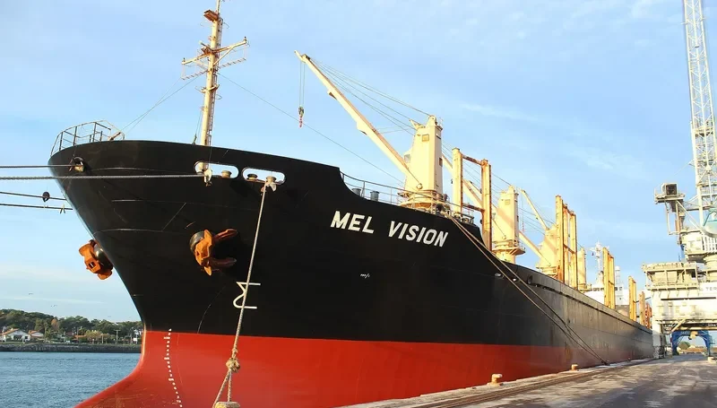 MEL VISION Bulk Carrier IMO 9218052 photo 6