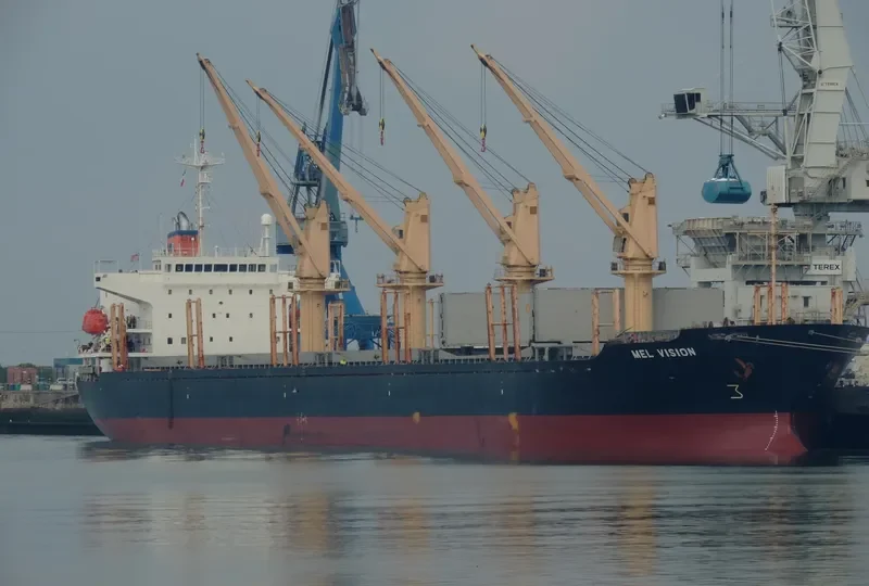 MEL VISION Bulk Carrier IMO 9218052 photo 9