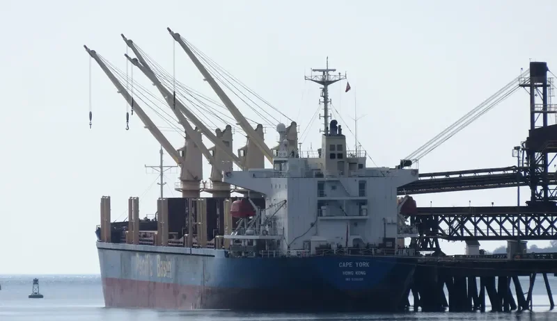 21 HAPPY Bulk Carrier IMO 9218088 photo 2