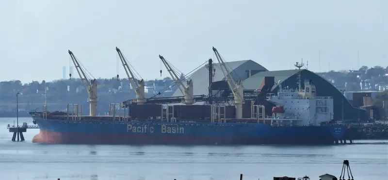 21 HAPPY Bulk Carrier IMO 9218088 photo 3