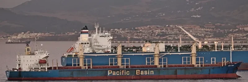 21 HAPPY Bulk Carrier IMO 9218088 photo 5