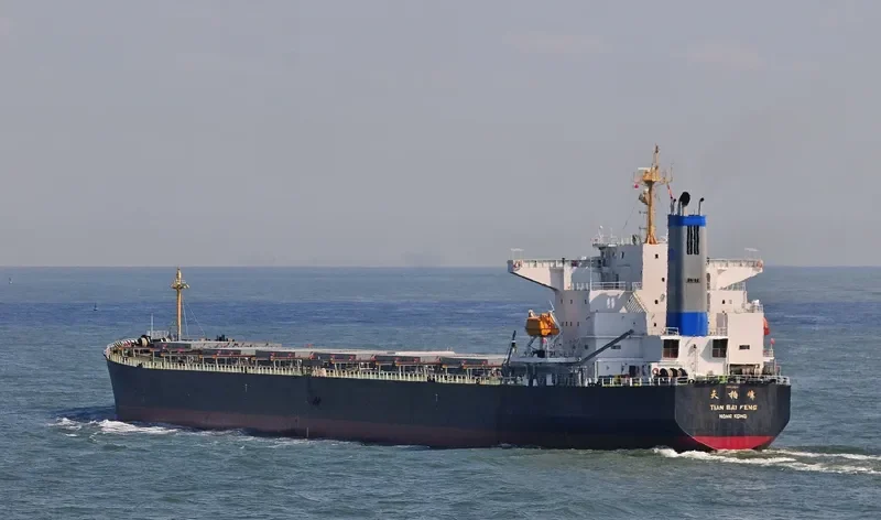TIAN BAI FENG Bulk Carrier IMO 9218167 photo 3