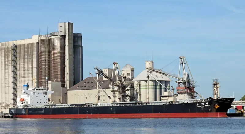 TIAN BAI FENG Bulk Carrier IMO 9218167 photo 6