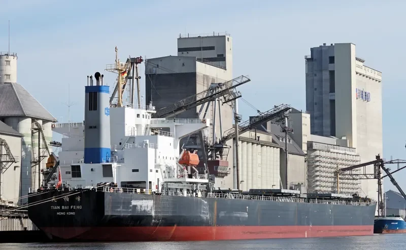 TIAN BAI FENG Bulk Carrier IMO 9218167 photo 7