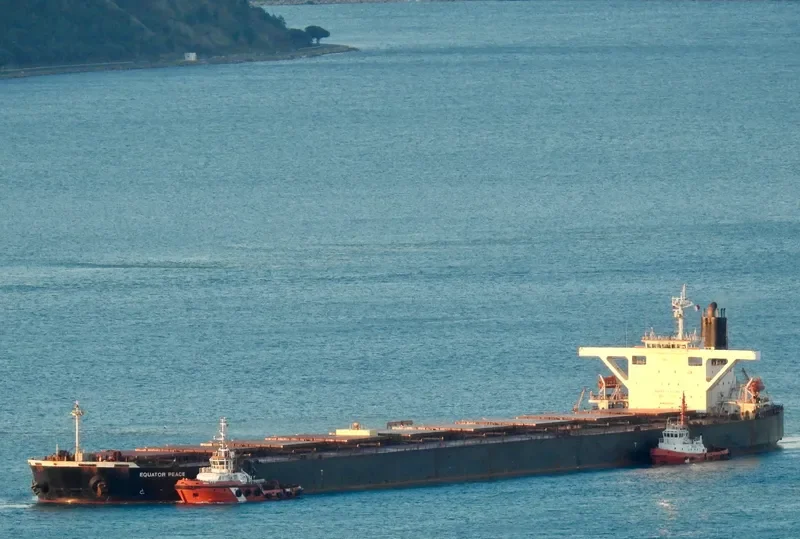 EQUATOR PEACE Bulk Carrier IMO 9218179 photo 4