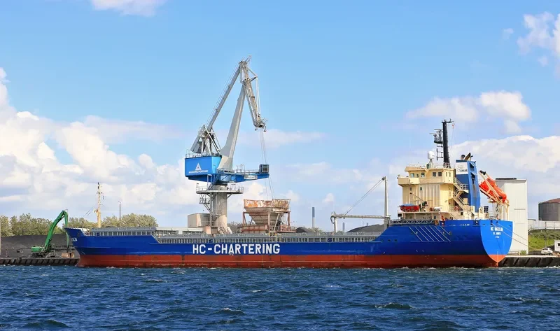 EKMEN STAR Bulk Carrier IMO 9218193 photo 6