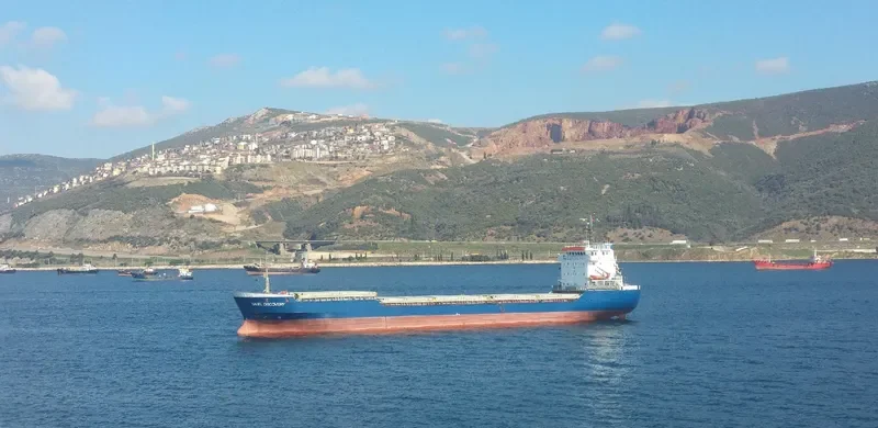 BASEL DISCOVERY Bulk Carrier IMO 9218208 photo 7