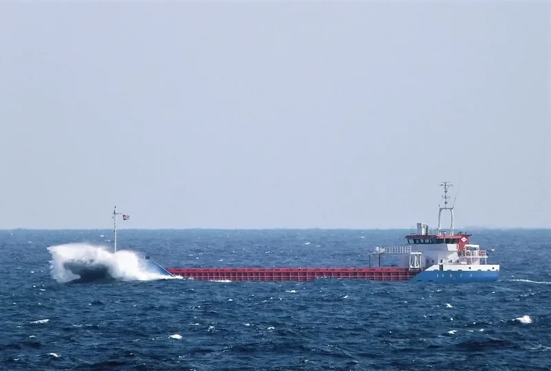 EEMS TRAVELLER General Cargo IMO 9218234