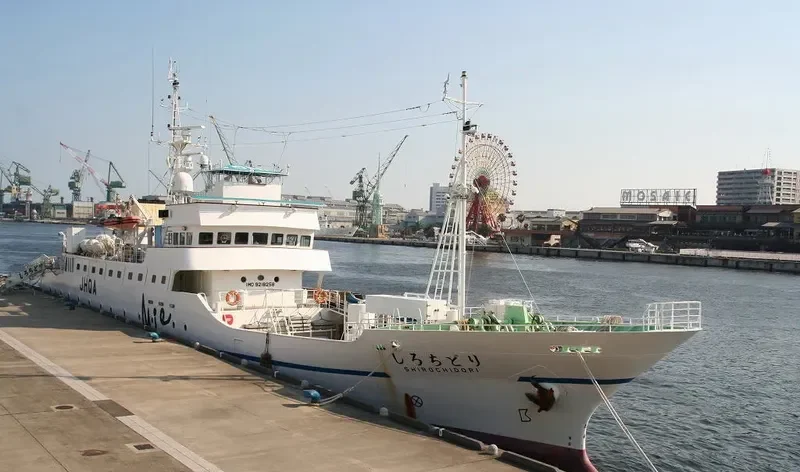 SHIROCHIDORI General Cargo IMO 9218258 photo 8