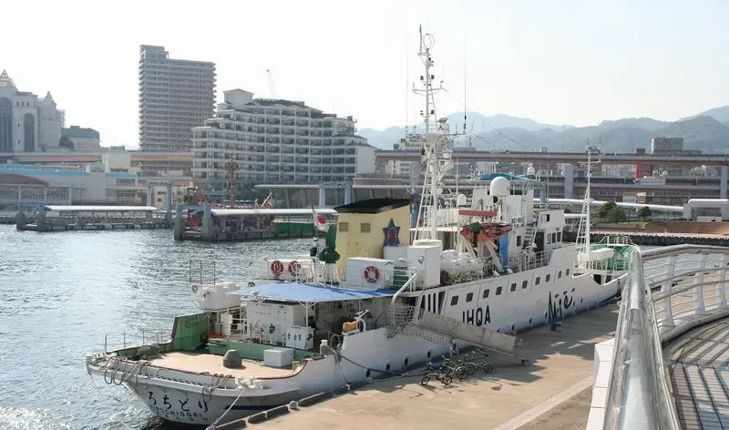 SHIROCHIDORI General Cargo IMO 9218258 photo 9