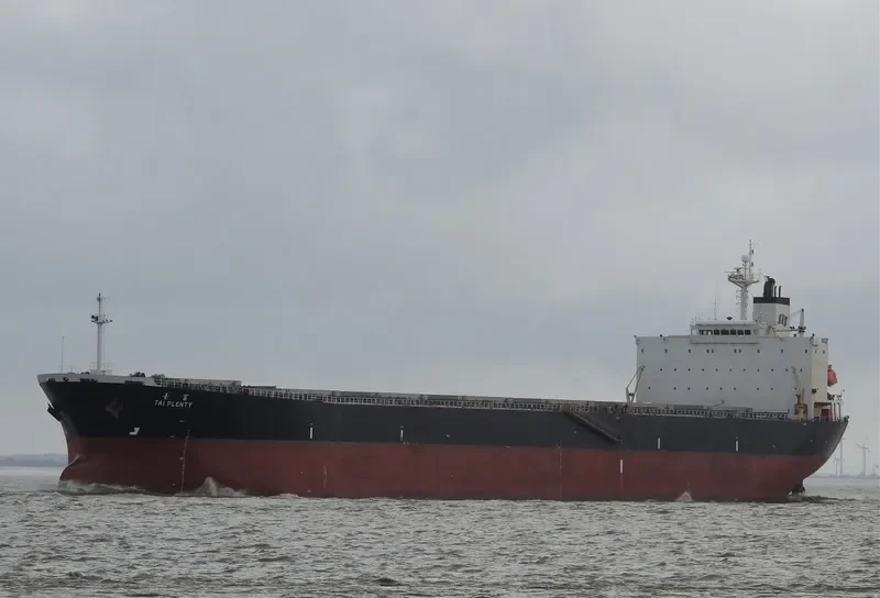 RUI KANG 66 Bulk Carrier IMO 9218260