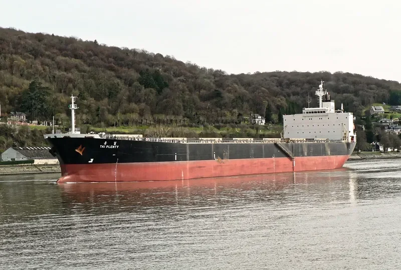 RUI KANG 66 Bulk Carrier IMO 9218260 photo 3