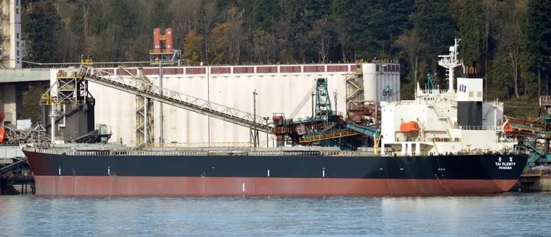RUI KANG 66 Bulk Carrier IMO 9218260 photo 6