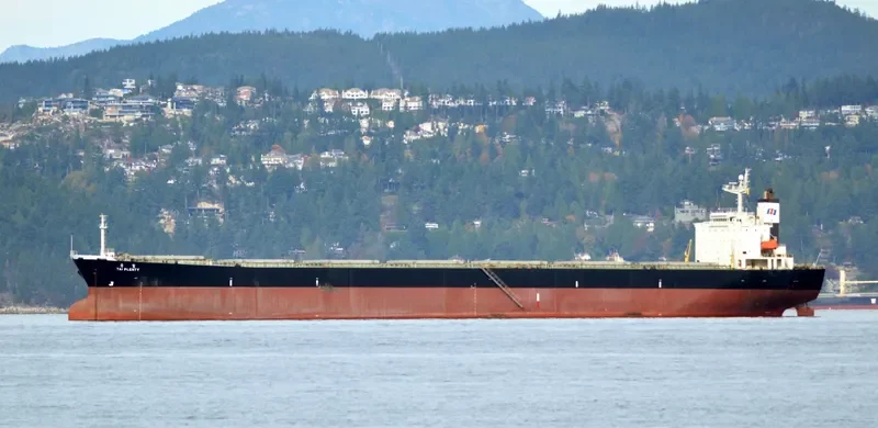 RUI KANG 66 Bulk Carrier IMO 9218260 photo 7
