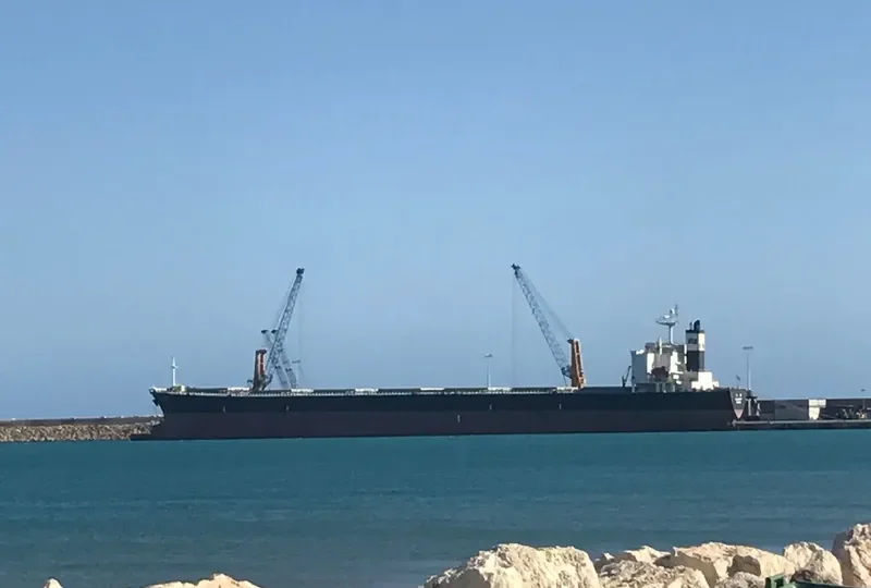 CHARM LOONG Bulk Carrier IMO 9218272 photo 3
