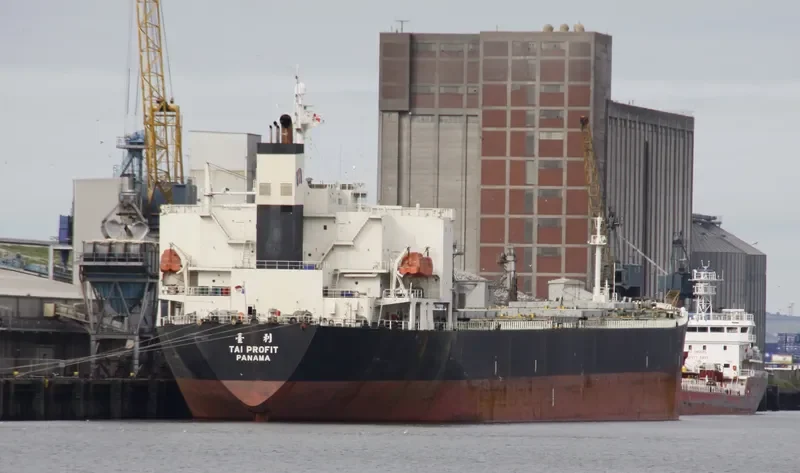 CHARM LOONG Bulk Carrier IMO 9218272 photo 4